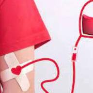 Impulsan la donación de sangre en los hospitales nacionales