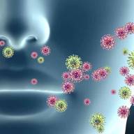 Dengue y virus respiratorios: refuerzan la vigilancia ante un escenario sanitario dinámico