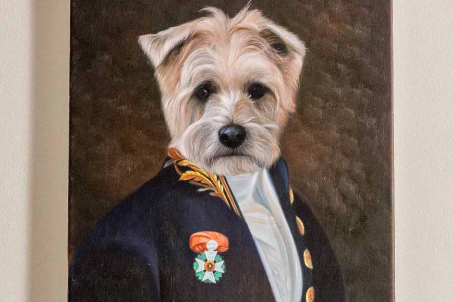 El nuevo retrato familiar tiene cuatro patas y cola