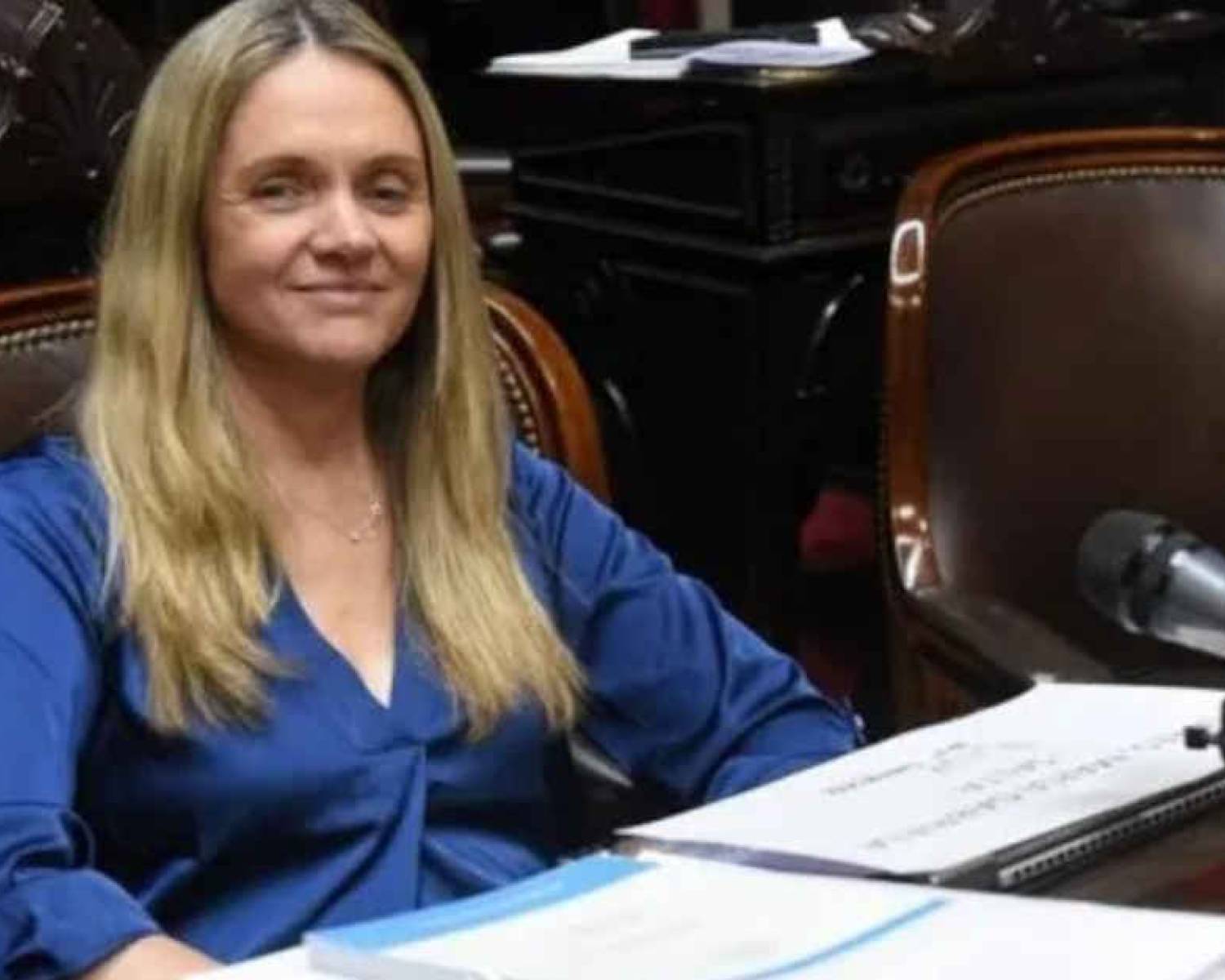 Una diputada de La Libertad Avanza admitió que su hijo usa sus pasajes oficiales del Congreso para viajar