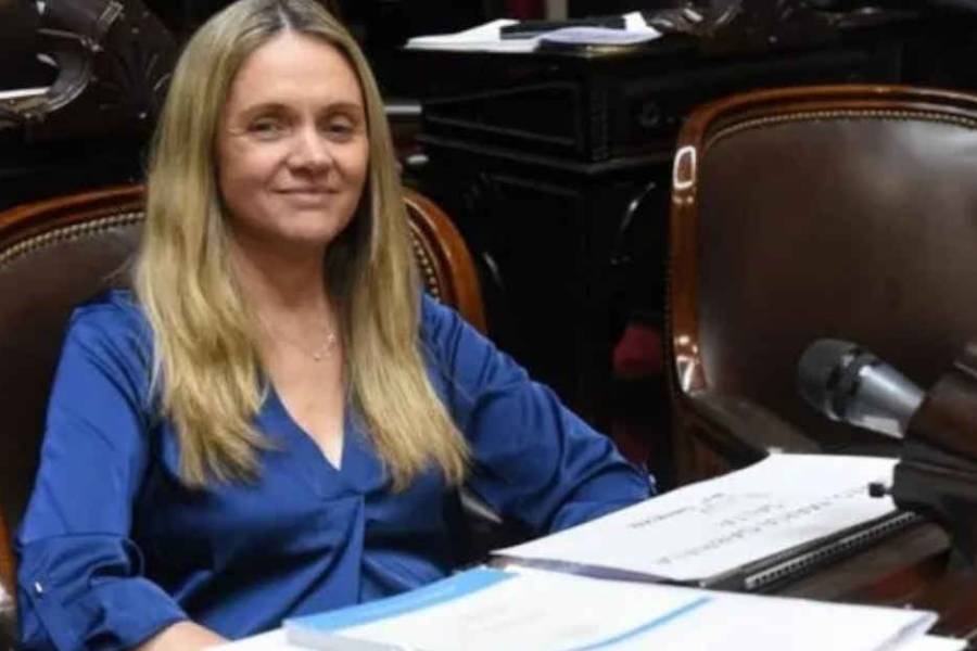 Una diputada de La Libertad Avanza admitió que su hijo usa sus pasajes oficiales del Congreso para viajar