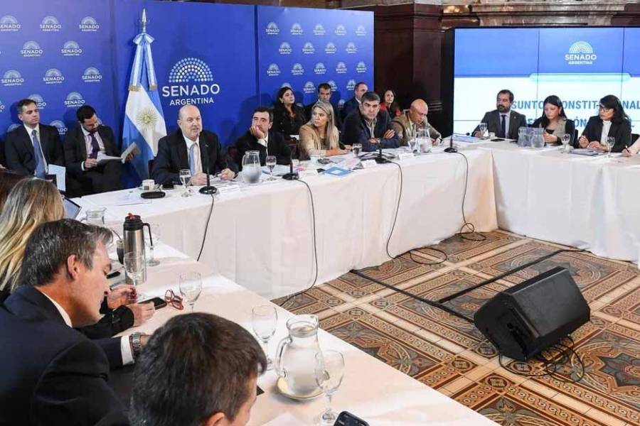 Senado reanuda el debate por la Inviolabilidad de la Propiedad Privada con invitados del peronismo