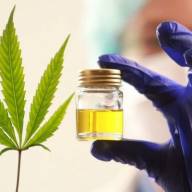 Investigadores chinos desarrollan una molécula a partir de cannabis medicinal