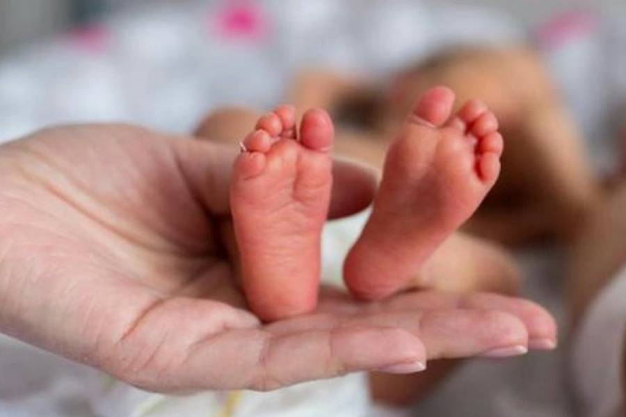 Un estudio revela que los anticuerpos maternos influyen en la inmunidad oral del recién nacido