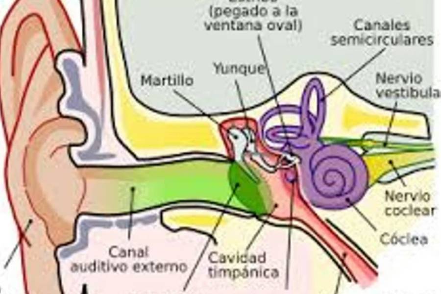 Médicos chinos realizan con éxito una cirugía de reparación del tímpano en Níger