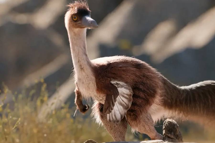 Descubren que un dinosaurio hallado en Río Negro era más grande de lo que se creía: cuánto medía
