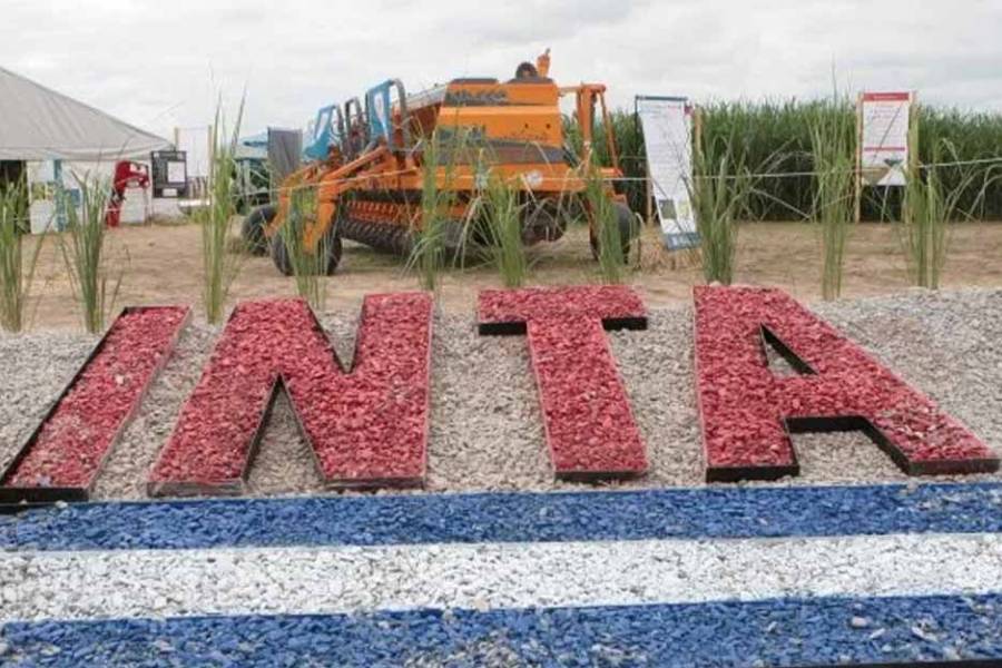 Más ajuste: El gobierno abrió un plan de retiros voluntarios para los trabajadores del INTA
