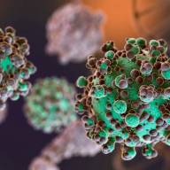 Hantavirus: el total de casos en Argentina asciende a 102