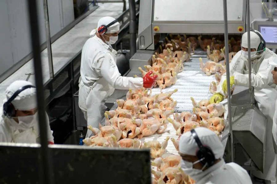 La principal avícola del país acumula salarios impagos y los trabajadores paralizan la actividad