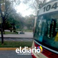 El Nene SRL fue intimada y puede perder concesión de la Linea 104