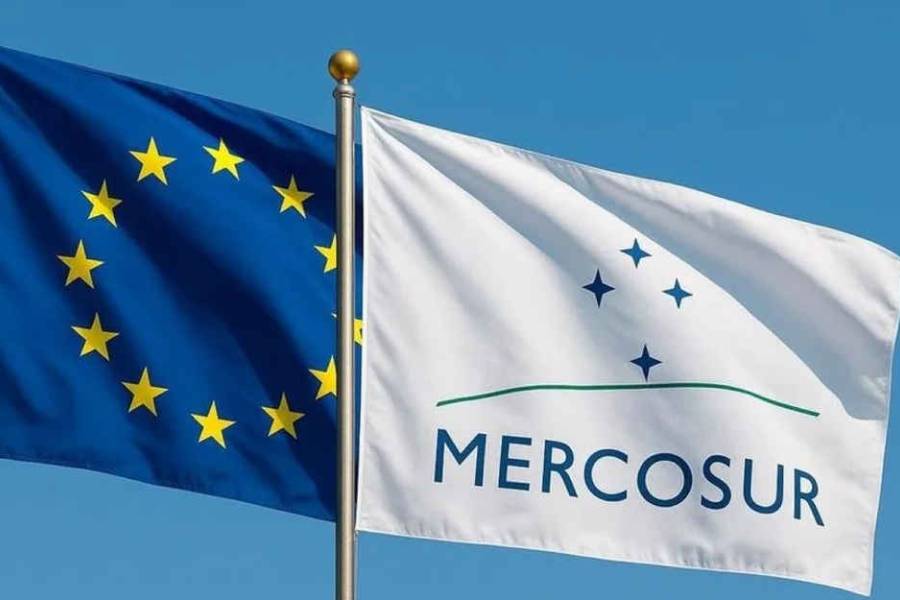 Acuerdo Mercosur-UE: Argentina completó el cupo exportador de huevos y superó las 330 toneladas