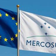 Acuerdo Mercosur-UE: Argentina completó el cupo exportador de huevos y superó las 330 toneladas