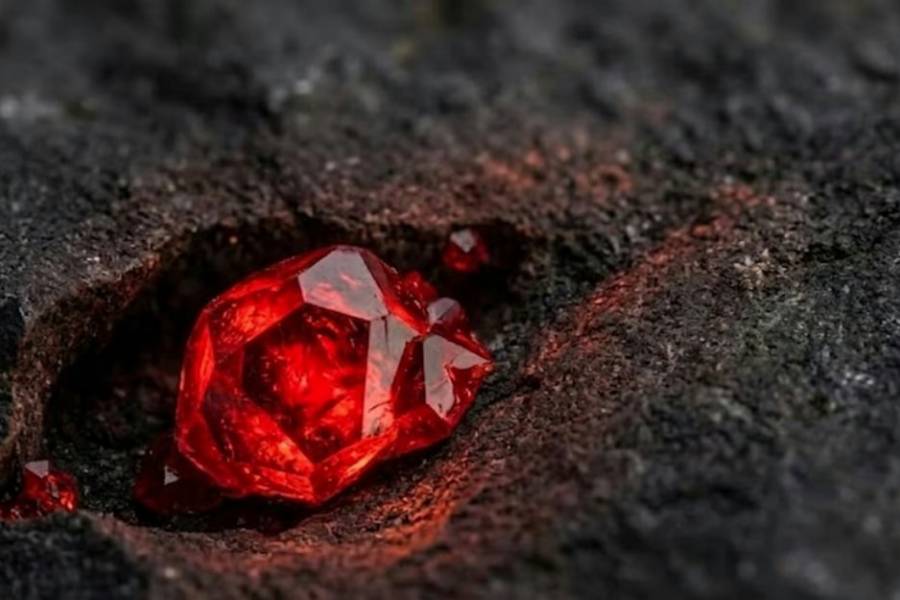 Científicos abrieron un meteorito de Marte y se llevaron una sorpresa