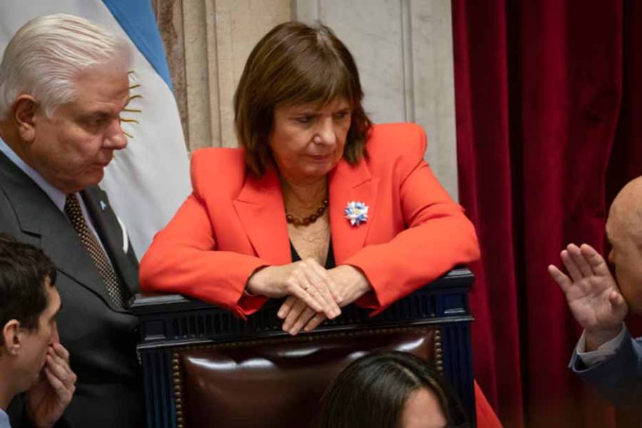El Senado debate el proyecto de propiedad privada con modificaciones sobre compra de tierras por extranjeros