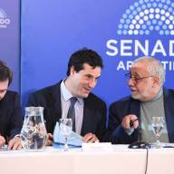 El ex secretario de Lijo rendirá examen en el Senado para el juzgado que tiene la causa de Insaurralde y Cirio