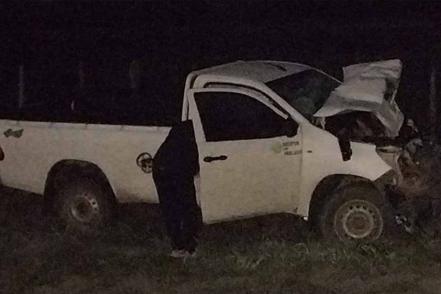 Chocó con animal suelto en plena ruta y se salvó de milagro