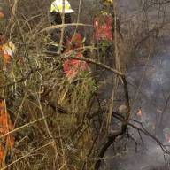 Incendios en Salta: imputan a un hombre por provocar focos intencionales