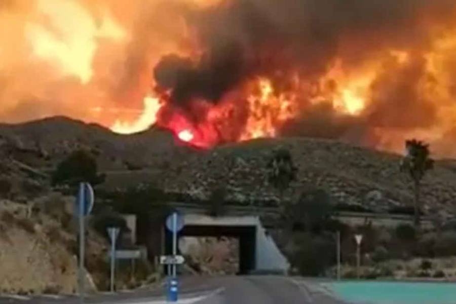 Qué es un megaincendio, el devastador fenómeno que tiene a España en llamas y ya mató a 12 personas
