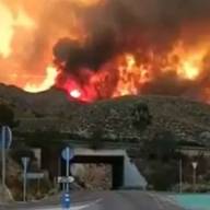 Qué es un megaincendio, el devastador fenómeno que tiene a España en llamas y ya mató a 12 personas