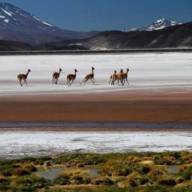 Catamarca entre las cinco provincias con más tierras en manos extranjeras