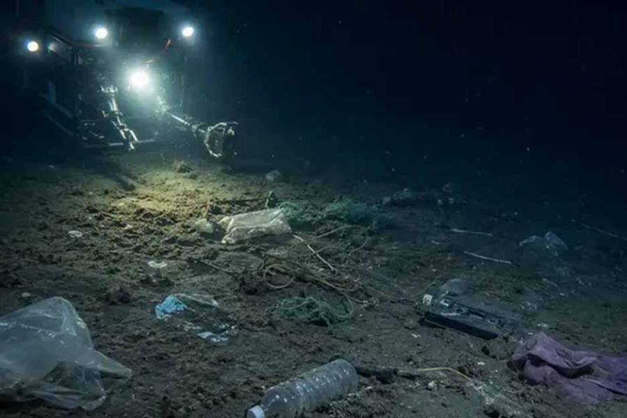 Científicos alertan por la cantidad de basura atrapada en las profundidades del Mar Argentino