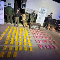 Gendarmería incautó casi 70 kilos de cocaína y más de 113 kilos de marihuana ocultos en un camión