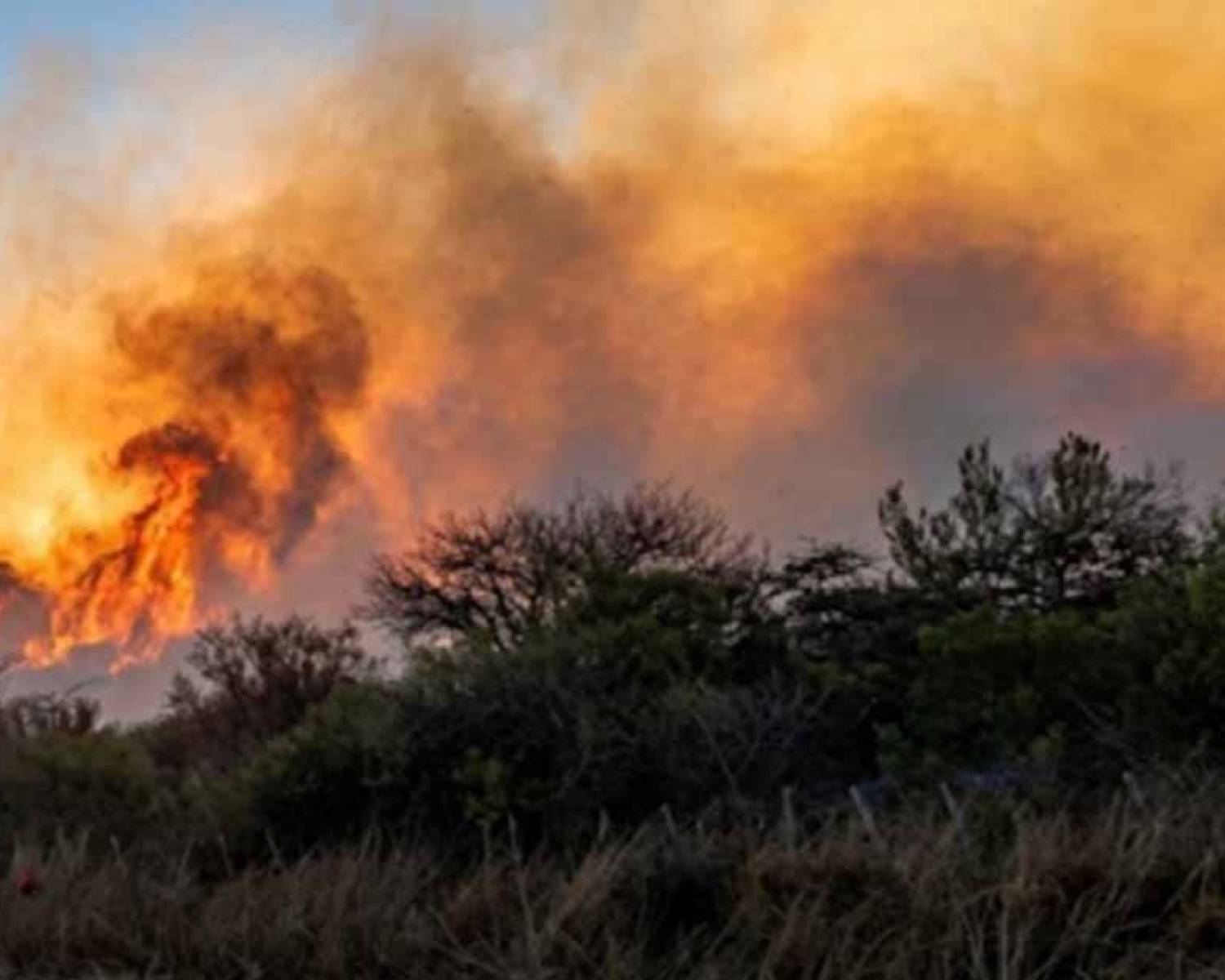 Corte de tránsito en Ruta 4 por intenso incendio