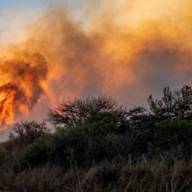Corte de tránsito en Ruta 4 por intenso incendio