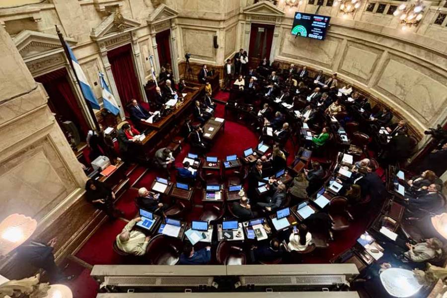 Senado: el Gobierno aprobó la ley de propiedad privada, pero tuvo que quitar otro capítulo