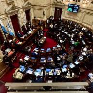 Senado: el Gobierno aprobó la ley de propiedad privada, pero tuvo que quitar otro capítulo