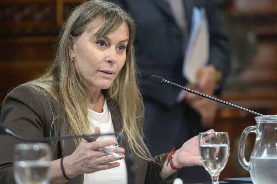 Propiedad Privada: el enigmático posteo de Juliana Di Tullio tras la sesión en el Senado