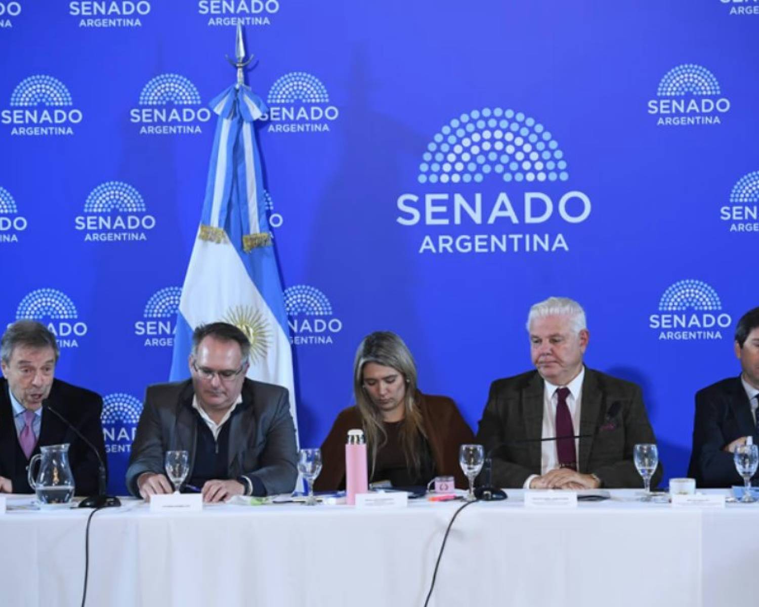 Senado: la Casa Rosada no quiere cambios en el RIGI, pero Bullrich avanzaría para lograr consensos