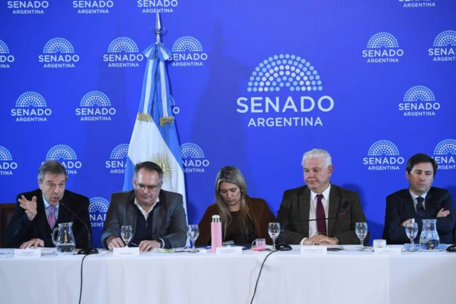 Senado: la Casa Rosada no quiere cambios en el RIGI, pero Bullrich avanzaría para lograr consensos