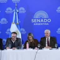 Senado: la Casa Rosada no quiere cambios en el RIGI, pero Bullrich avanzaría para lograr consensos