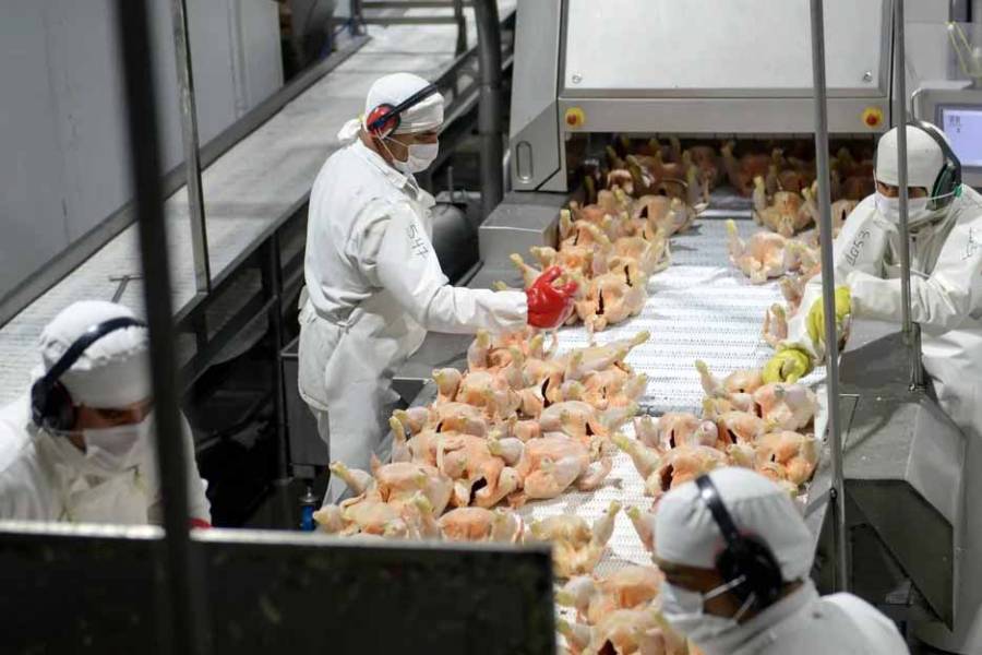 Granja Tres Arroyos suspendió la actividad de su planta en Capitán Sarmiento y temen cierre definitivo
