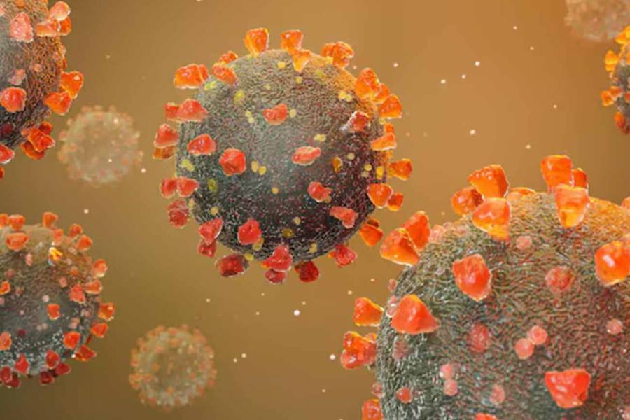 El herpes zóster, un factor de riesgo cardiovascular no tan conocido