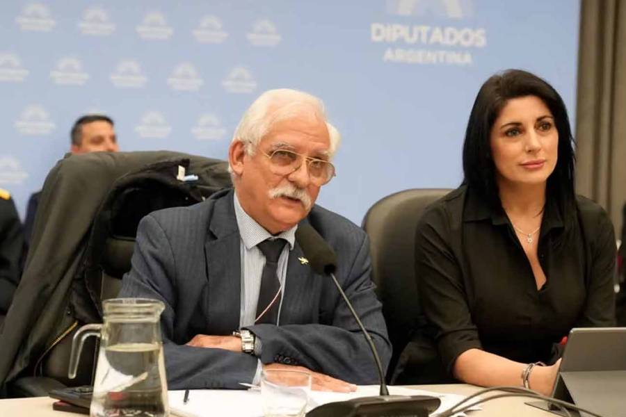 Malvinas en Hamburgo, trabada en Diputados: la Ley de Soberanía sigue sin dictamen