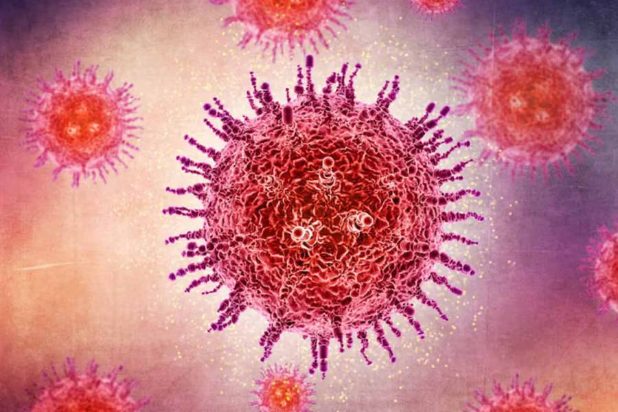 ¿Qué es el virus Shamonda?