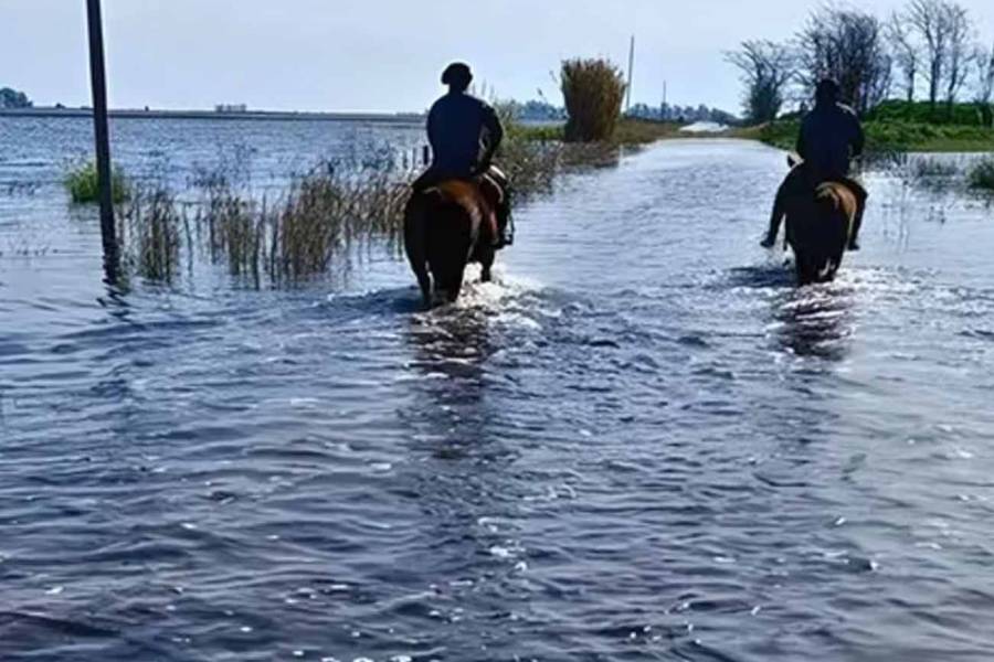 Declaran la emergencia agropecuaria en distritos bonaerenses tras las graves inundaciones