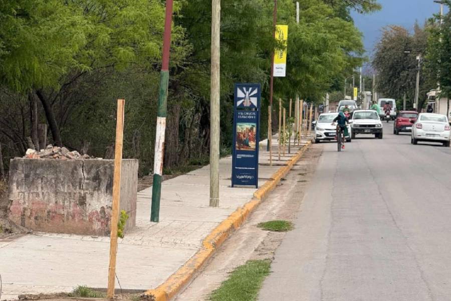 Valle Viejo impulsa la reforestación del Camino de la Virgen