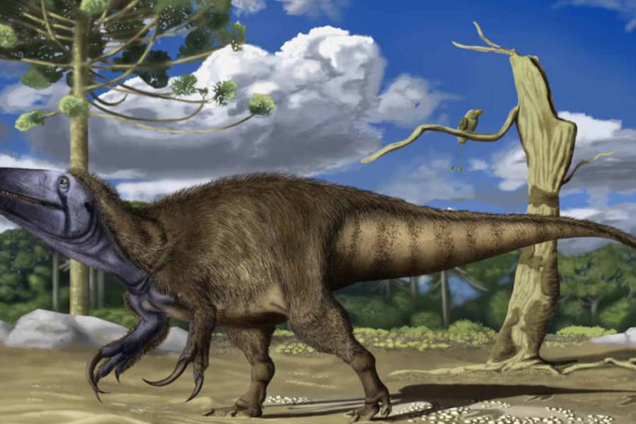 Impresionante: descubren en Neuquén una nueva especie de dinosaurio carnívoro que medía siete metros