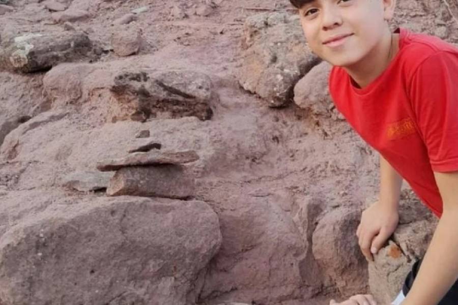 Un niño de 12 años encontró un fósil de dinosaurio enterrado en el patio de la casa de su abuelo