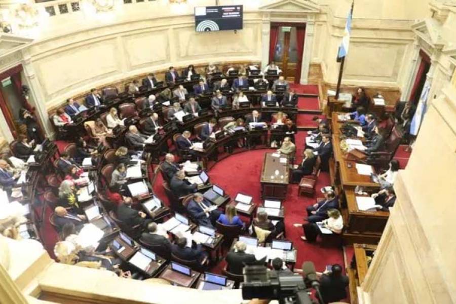 Paquete fiscal: el Senado rechazó cambios en Bienes Personales e impuesto a las Ganancias