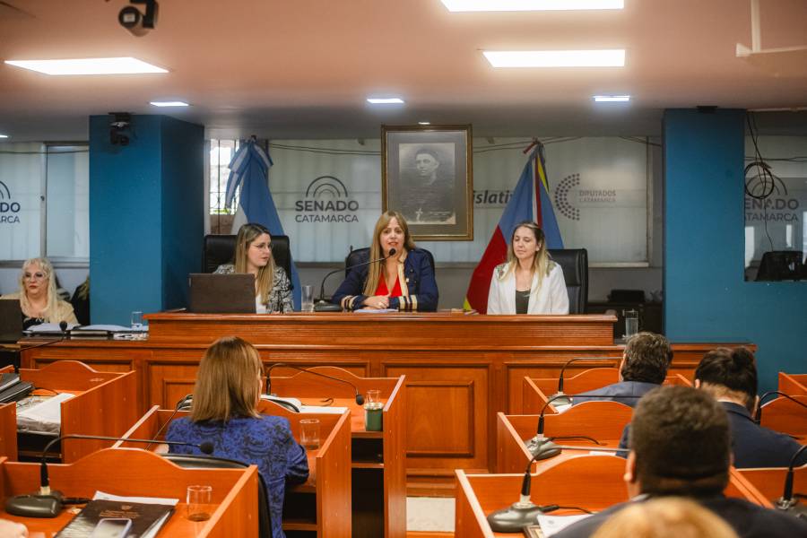 Diputados: Paola Fedelli es la nueva presidenta por dos años
