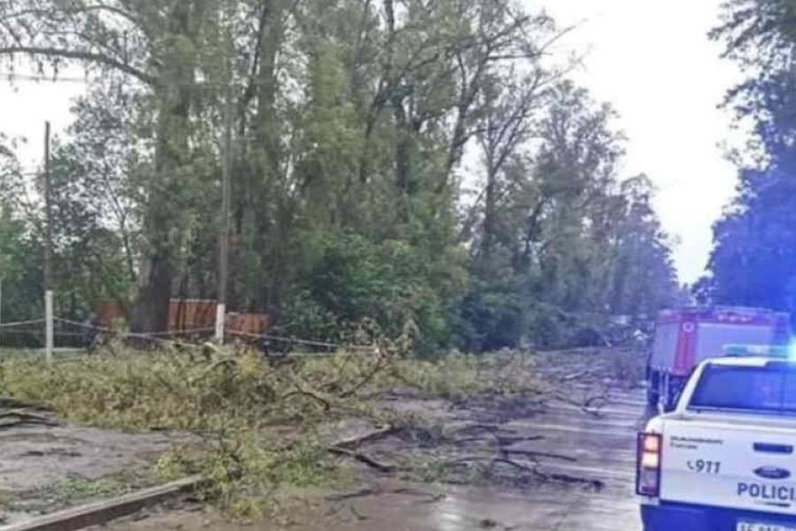 Al menos 15 muertos tras el fuerte temporal que azotó al país