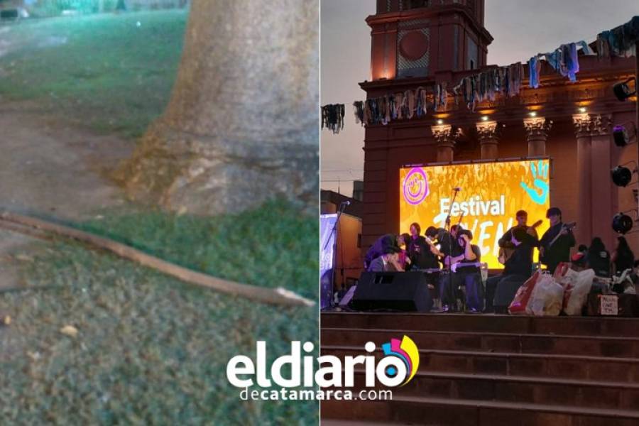 Pudo ser una tragedia: Se desprendió parte de un árbol en Plaza 25 de Mayo y lesionó a varias personas