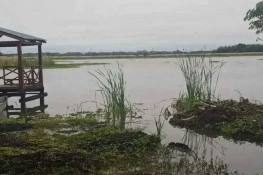 Otro misterio en Corrientes: un menor fue a pescar a una laguna y desapareció