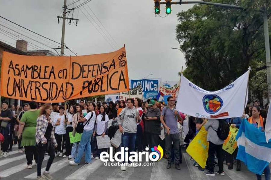 Docentes universitarios paran por 48 hs 