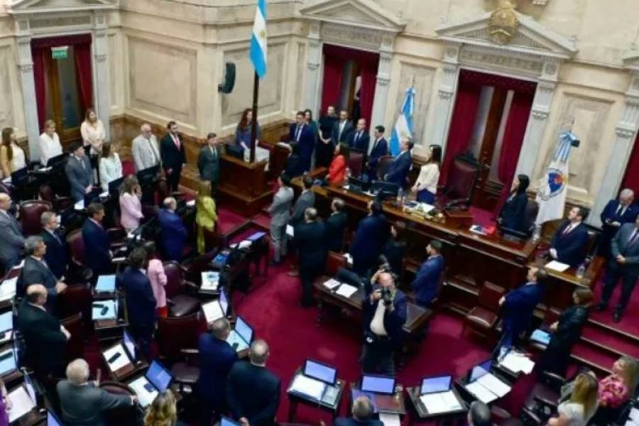 Revés para el Gobierno: el Senado tratará el DNU por los fondos millonarios a la SID