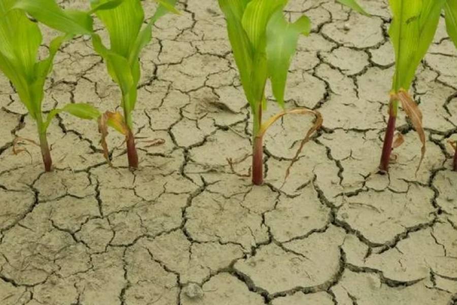 La Niña está por llegar a la Argentina: se esperan fuertes sequías y un clima fuera de lo normal